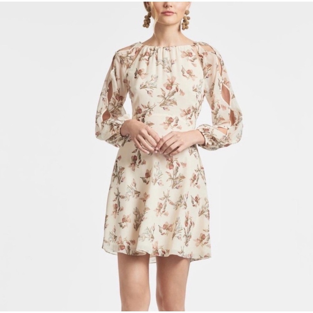 Sachin & Babi Bevvy Floral Chiffon‎ Mini Dress Eggshell Size 4 NWT